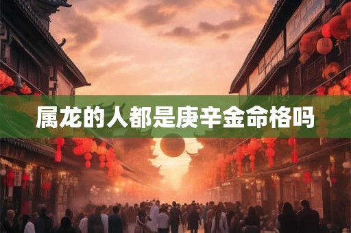 属龙的人都是庚辛金命格吗