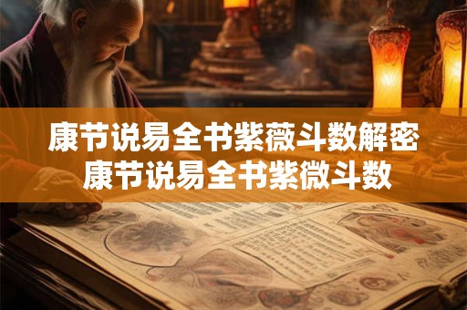 康节说易全书紫薇斗数解密 康节说易全书紫微斗数