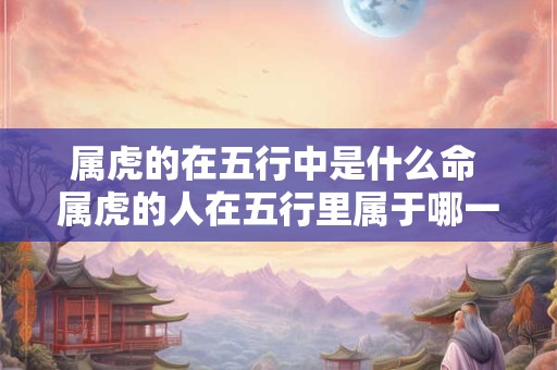 属虎的在五行中是什么命 属虎的人在五行里属于哪一种 属虎的在五行中是什么命 属虎的人在五行里属于哪一种