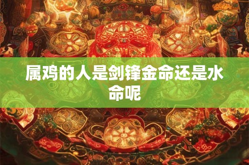 属鸡的人是剑锋金命还是水命呢