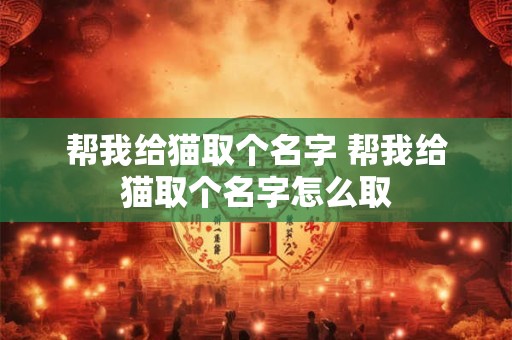 帮我给猫取个名字 帮我给猫取个名字怎么取
