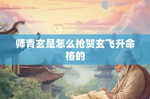 师青玄是怎么抢贺玄飞升命格的