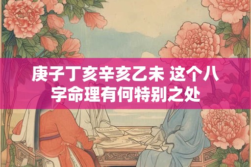庚子丁亥辛亥乙未 这个八字命理有何特别之处