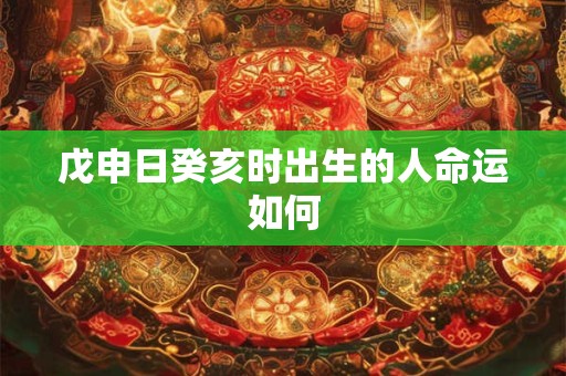 戊申日癸亥时出生的人命运如何