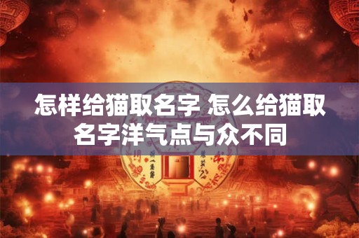 怎样给猫取名字 怎么给猫取名字洋气点与众不同