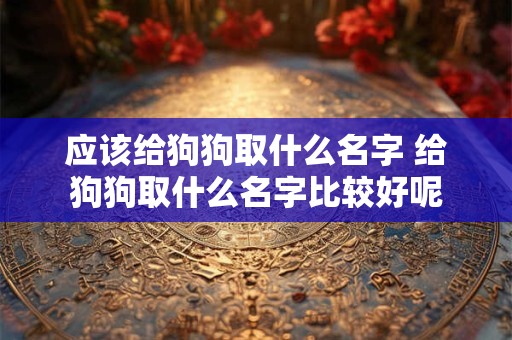 应该给狗狗取什么名字 给狗狗取什么名字比较好呢 应该给狗狗取什么名字 给狗狗取什么名字比较好呢