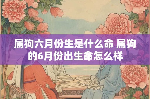属狗六月份生是什么命 属狗的6月份出生命怎么样