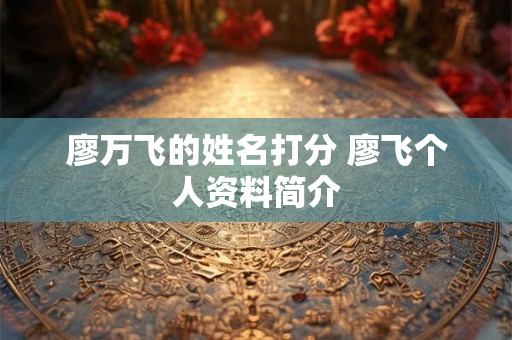 廖万飞的姓名打分 廖飞个人资料简介