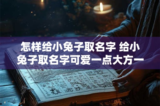 怎样给小兔子取名字 给小兔子取名字可爱一点大方一点