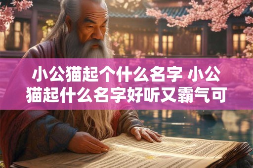 小公猫起个什么名字 小公猫起什么名字好听又霸气可爱