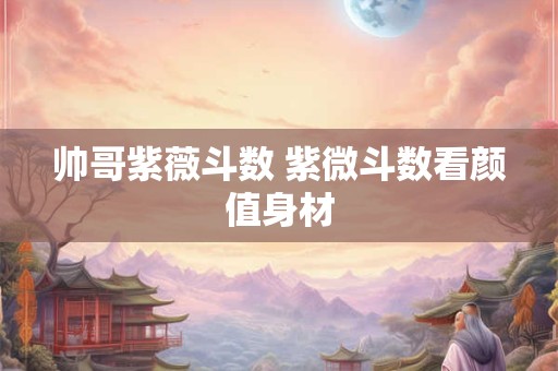 帅哥紫薇斗数 紫微斗数看颜值身材