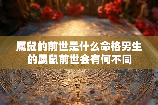 属鼠的前世是什么命格男生的属鼠前世会有何不同