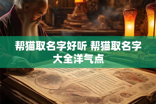 帮猫取名字好听 帮猫取名字大全洋气点