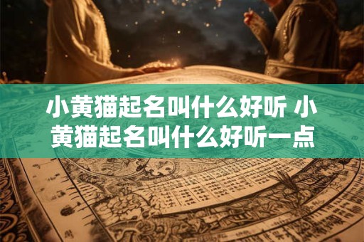 小黄猫起名叫什么好听 小黄猫起名叫什么好听一点 小黄猫起名叫什么好听 小黄猫起名叫什么好听一点