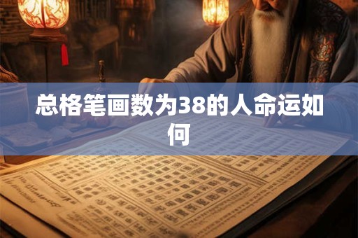 总格笔画数为38的人命运如何