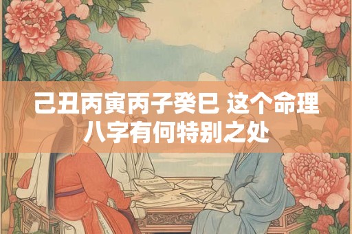己丑丙寅丙子癸巳 这个命理八字有何特别之处