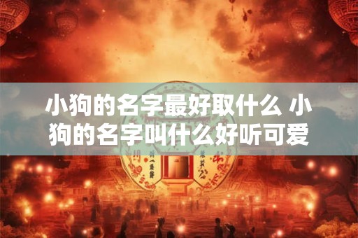 小狗的名字最好取什么 小狗的名字叫什么好听可爱