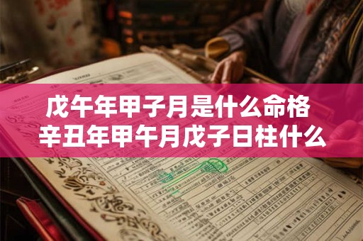 戊午年甲子月是什么命格 辛丑年甲午月戊子日柱什么时辰好