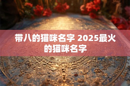 带八的猫咪名字 2025最火的猫咪名字