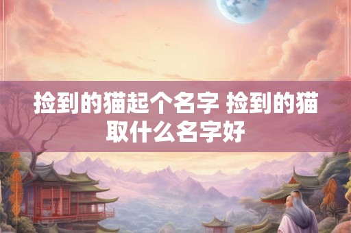 捡到的猫起个名字 捡到的猫取什么名字好