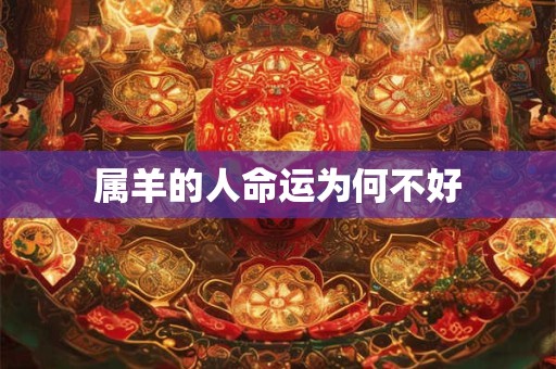 属羊的人命运为何不好