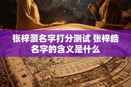 张梓灏名字打分测试 张梓皓名字的含义是什么