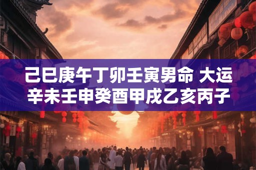 己巳庚午丁卯壬寅男命 大运辛未壬申癸酉甲戌乙亥丙子 此命局如何解读