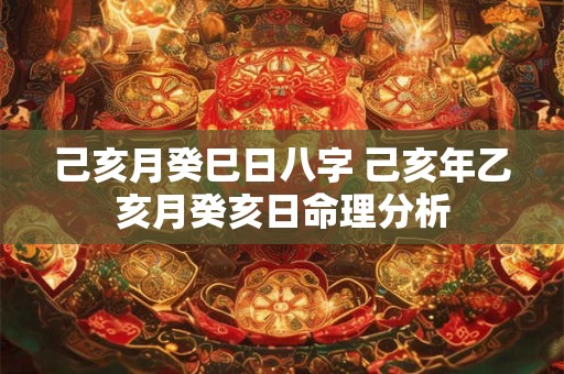 己亥月癸巳日八字 己亥年乙亥月癸亥日命理分析