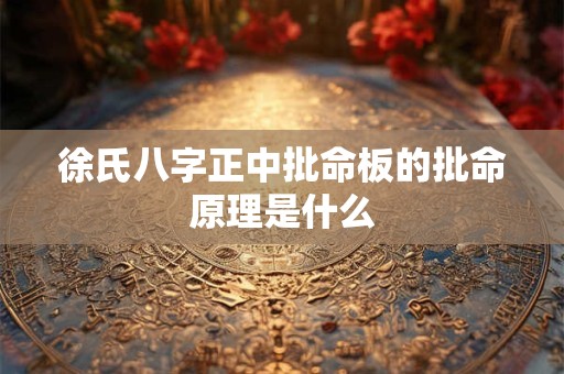徐氏八字正中批命板的批命原理是什么