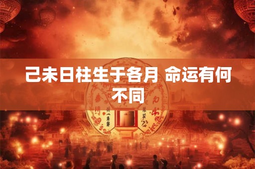 己未日柱生于各月 命运有何不同