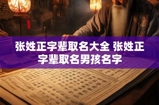 张姓正字辈取名大全 张姓正字辈取名男孩名字