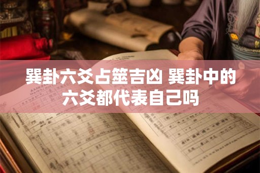 巽卦六爻占筮吉凶 巽卦中的六爻都代表自己吗