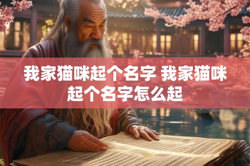 我家猫咪起个名字 我家猫咪起个名字怎么起