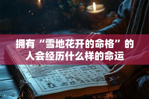 拥有“雪地花开的命格”的人会经历什么样的命运