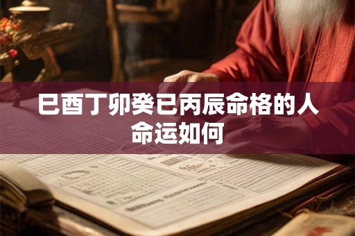 巳酉丁卯癸已丙辰命格的人命运如何