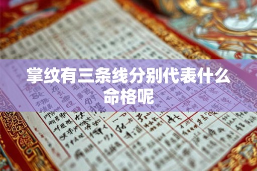 掌纹有三条线分别代表什么命格呢 掌纹有三条线分别代表什么命格呢