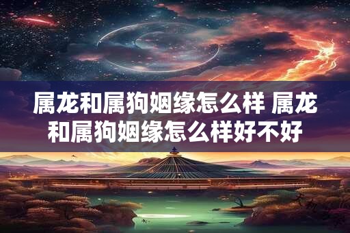 属龙和属狗姻缘怎么样 属龙和属狗姻缘怎么样好不好
