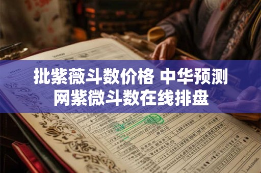 批紫薇斗数价格 中华预测网紫微斗数在线排盘