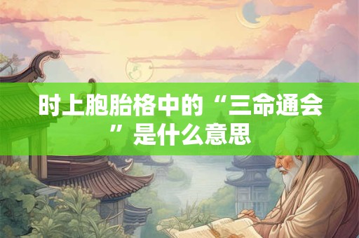 时上胞胎格中的“三命通会”是什么意思 时上胞胎格中的“三命通会”是什么意思