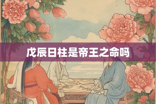 戊辰日柱是帝王之命吗