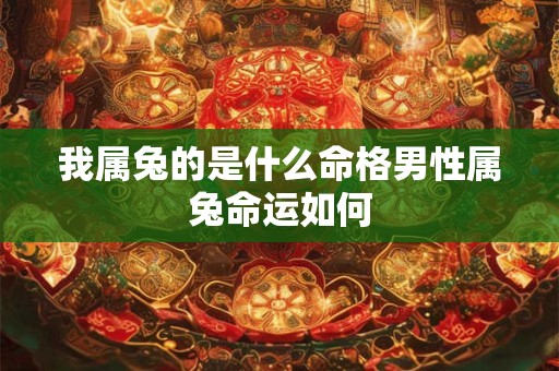 我属兔的是什么命格男性属兔命运如何