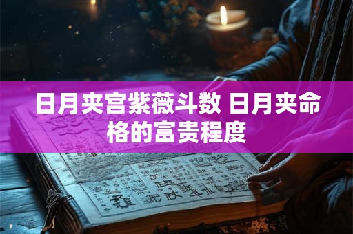 日月夹宫紫薇斗数 日月夹命格的富贵程度