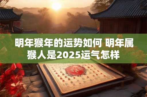 明年猴年的运势如何 明年属猴人是2025运气怎样