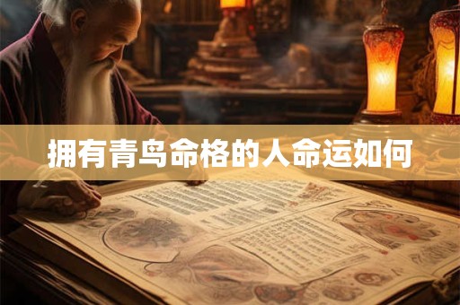 拥有青鸟命格的人命运如何