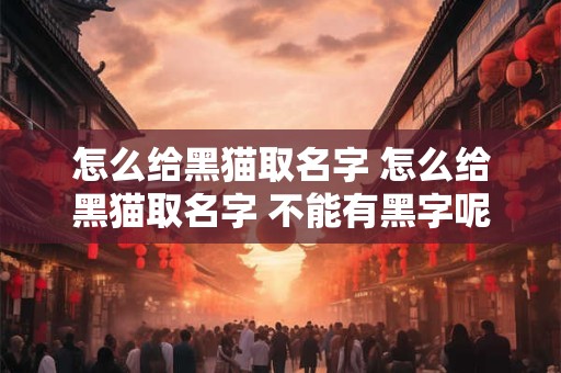 怎么给黑猫取名字 怎么给黑猫取名字 不能有黑字呢