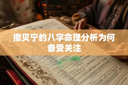 撒贝宁的八字命理分析为何备受关注