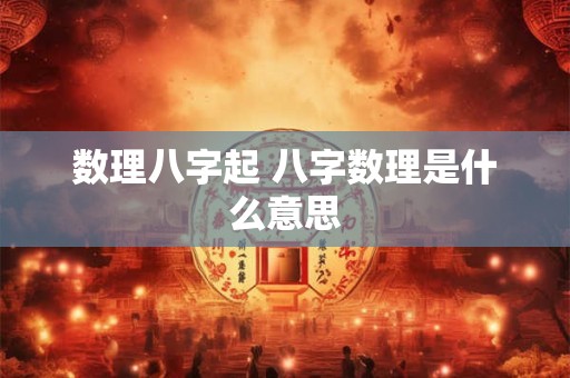 数理八字起 八字数理是什么意思
