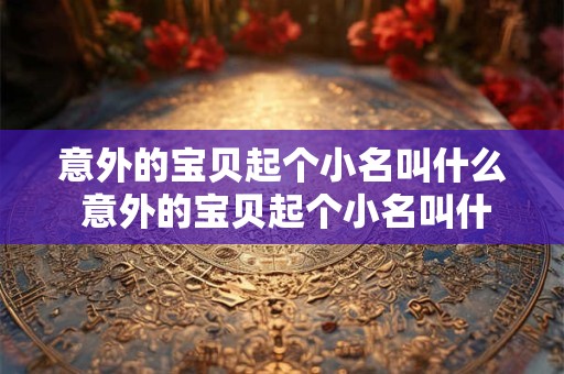 意外的宝贝起个小名叫什么 意外的宝贝起个小名叫什么来着