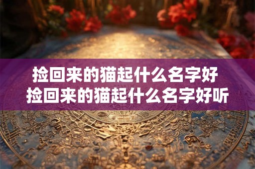 捡回来的猫起什么名字好 捡回来的猫起什么名字好听点