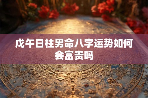 戊午日柱男命八字运势如何会富贵吗